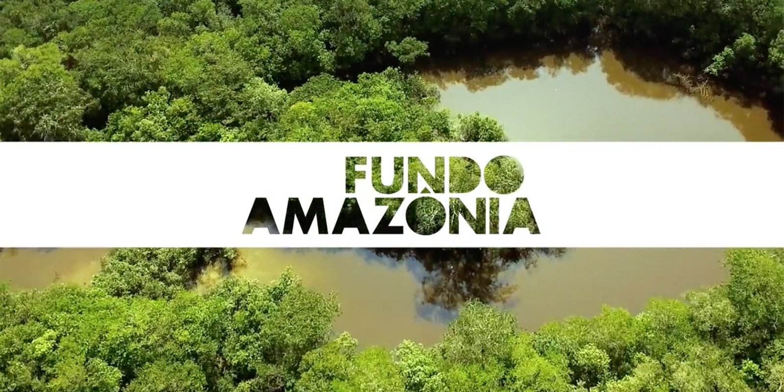 Featured image for “Fundo Amazônia”