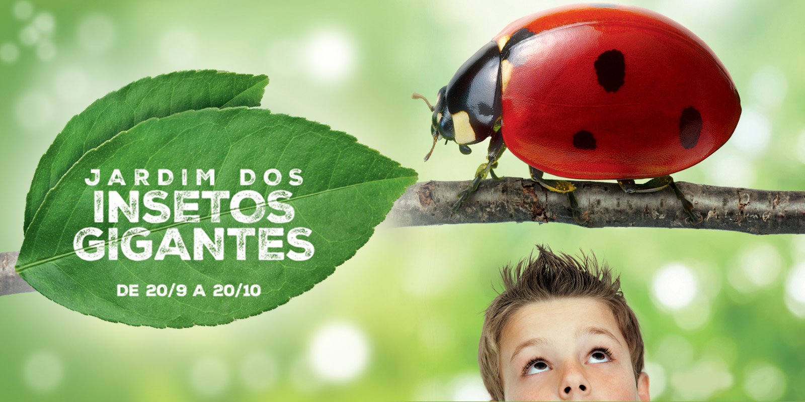 Featured image for “Shopping Vila Olímpia traz insetos gigantes para as crianças”